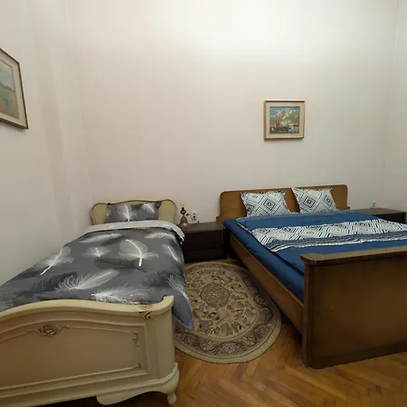 Targ Craciun Parului 11 Guest house Craiova